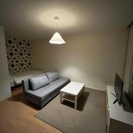 Apartamento Siisti Ja Viihtyisae Yksioe Kuopio