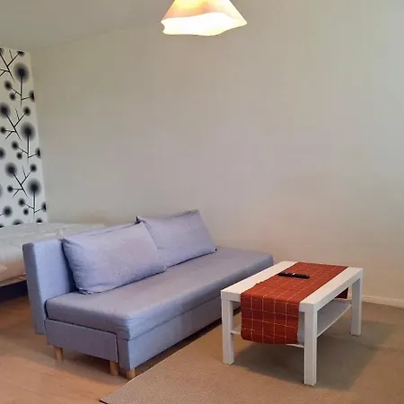 Appartement Siisti Ja Viihtyisae Yksioe Kuopio